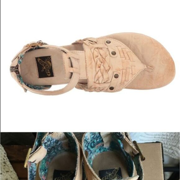 ISO Freebird Rome - Picture 3 of 3